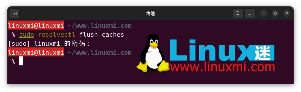 怎样在 Linux 上审查和刷新 DNS 缓存